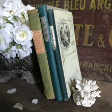 Load image into Gallery viewer, Old French book bundle