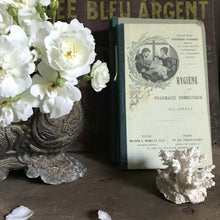 Load image into Gallery viewer, Old French book bundle