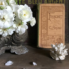 Load image into Gallery viewer, Old French book bundle