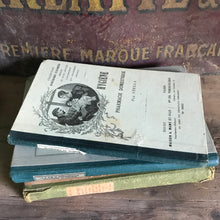 Load image into Gallery viewer, Old French book bundle
