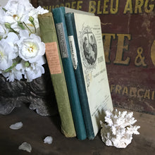 Load image into Gallery viewer, Old French book bundle
