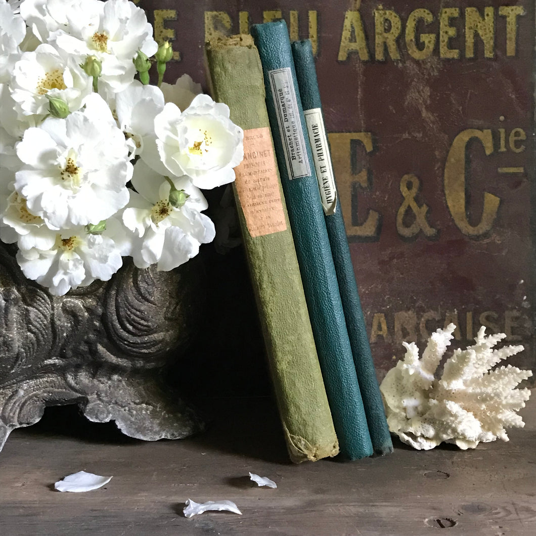 Old French book bundle