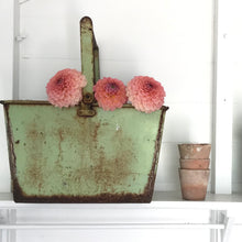 Load image into Gallery viewer, Glorious metal caddy/ trug
