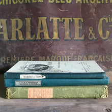 Load image into Gallery viewer, Old French book bundle
