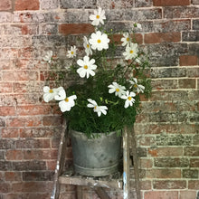 Load image into Gallery viewer, Vintage florist&#39;s bucket #1
